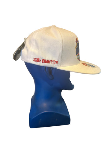 zephyr state championship colorado amateur hockey snapback Nwt