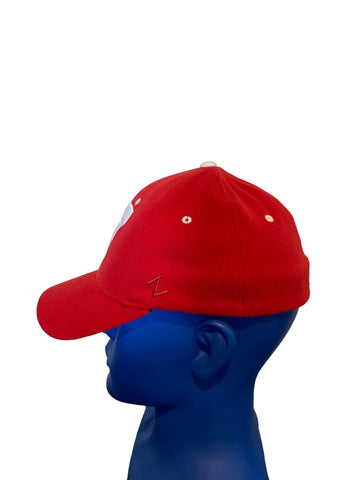 Zephyr ncaa z fit size m/l fitted wisconsin badgers hat