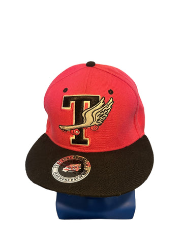 truckfit embroidered T And skateboard w wings pink and black snapback hat