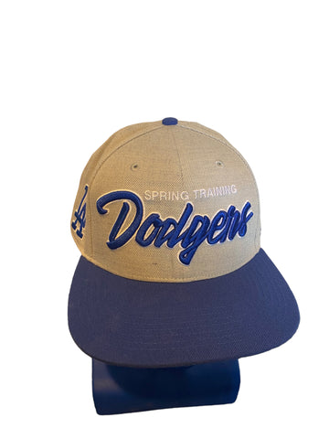 47 Brand Spring Training Dodgers Script W La On Side Gray And Blue Snapback Hat