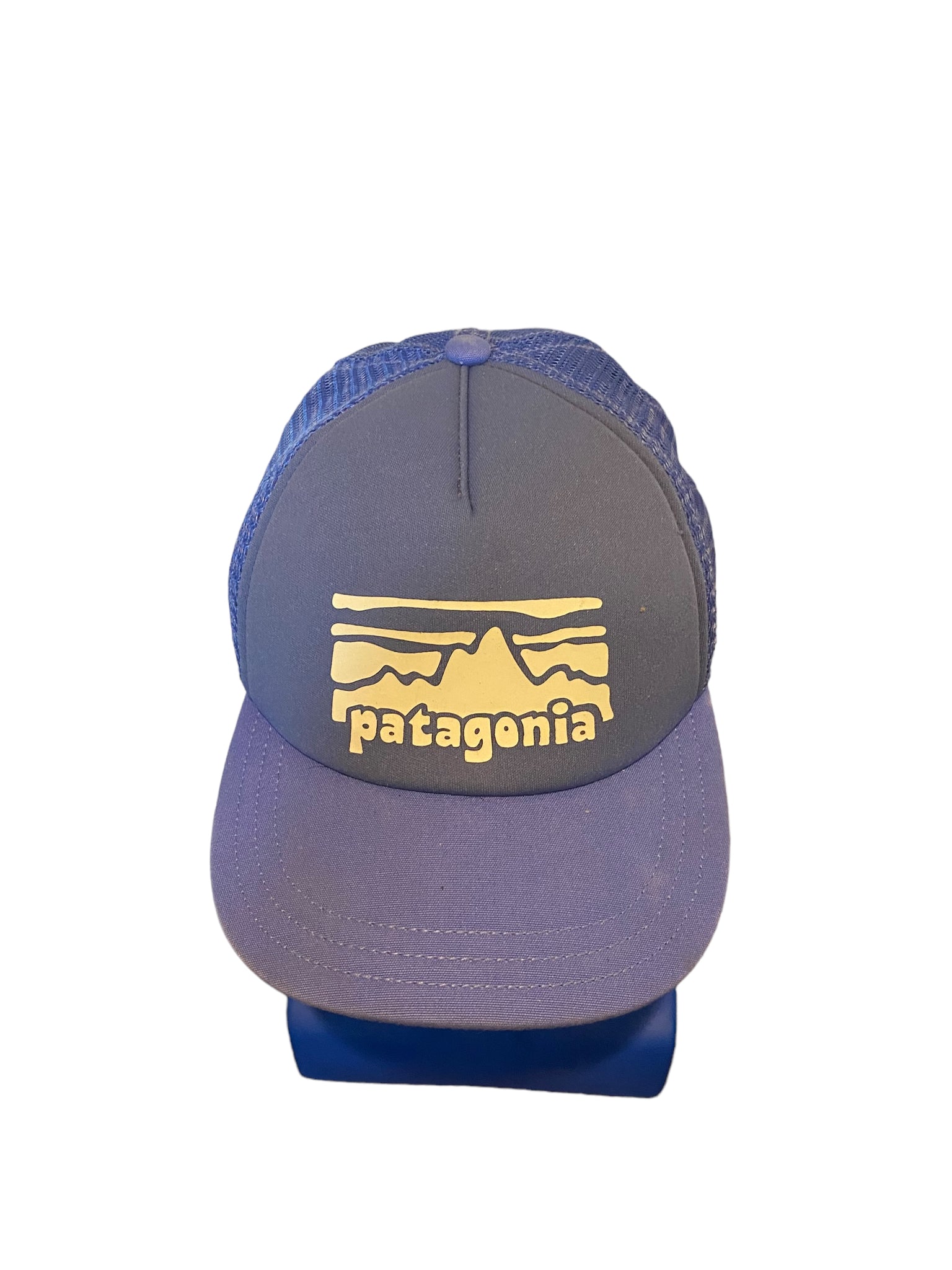 Patagonia Hat Cap Adjustable Blue Embroidered Casual Workwear Mesh Trucker Hat