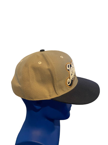 Minor  league baseball lancaster jet hawks hat snapback