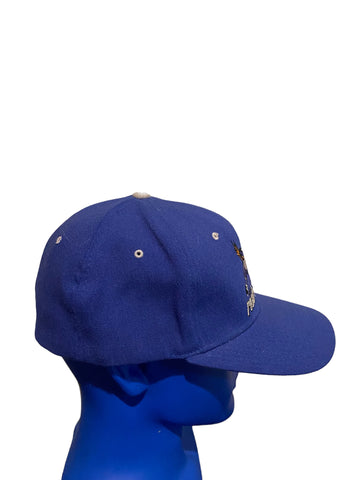 vintage IHL Hockey Phoenix  roadrunners starter starfit fitted hat size 7  3/4