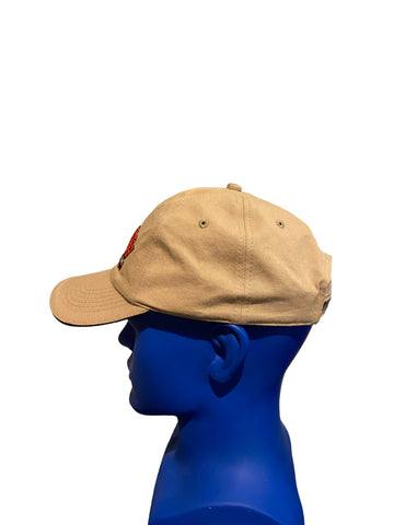 Minor league richmond flying squirrels est 2010 embroidered dad hat adj strap